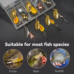 QualyQualy Trout Spinners Fishing Lure Kit - Assorted - Pack of 5 (Trout Lure- 1/10 oz)