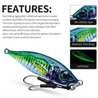 PROBEROS LF137 3D Spray Painted Bionic Lure Warp Bass Leader Fish Long Casting Freshwater Sea Luminous Fishing Bait, 28g, 40g, 60g, 100g, 120g, 180g, 80g, 150g, 200g